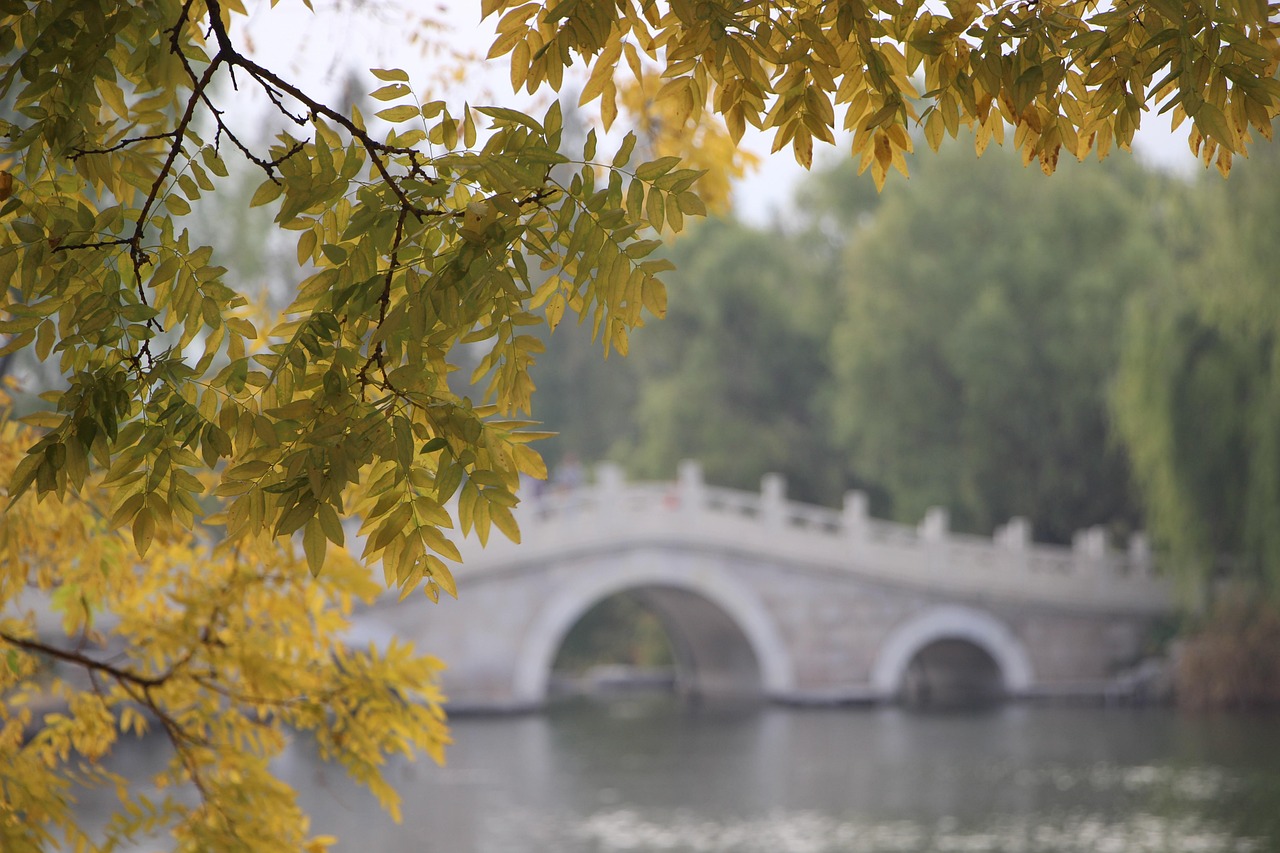 探索日本经典：聆听十大名曲中的纯音乐之旅